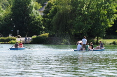 DSC_4397.JPG