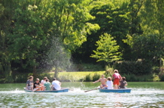 DSC_4411.JPG