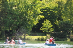 DSC_4412.JPG