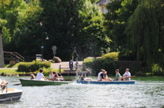 DSC_4414.JPG