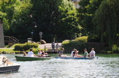 DSC_4415.JPG