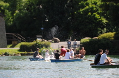 DSC_4419.JPG