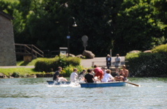 DSC_4420.JPG