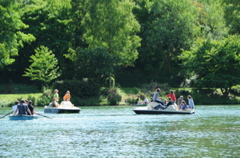 DSC_4430.JPG