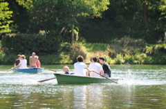 DSC_4431.JPG