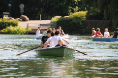 DSC_4432.JPG