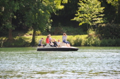 DSC_4447.JPG