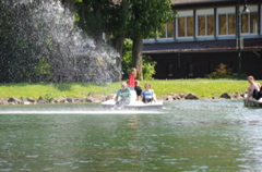 DSC_4451.JPG