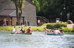 DSC_4456.JPG