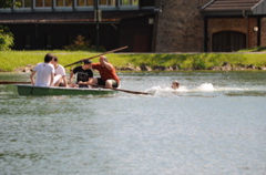 DSC_4460.JPG