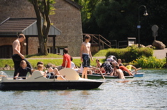 DSC_4462.JPG